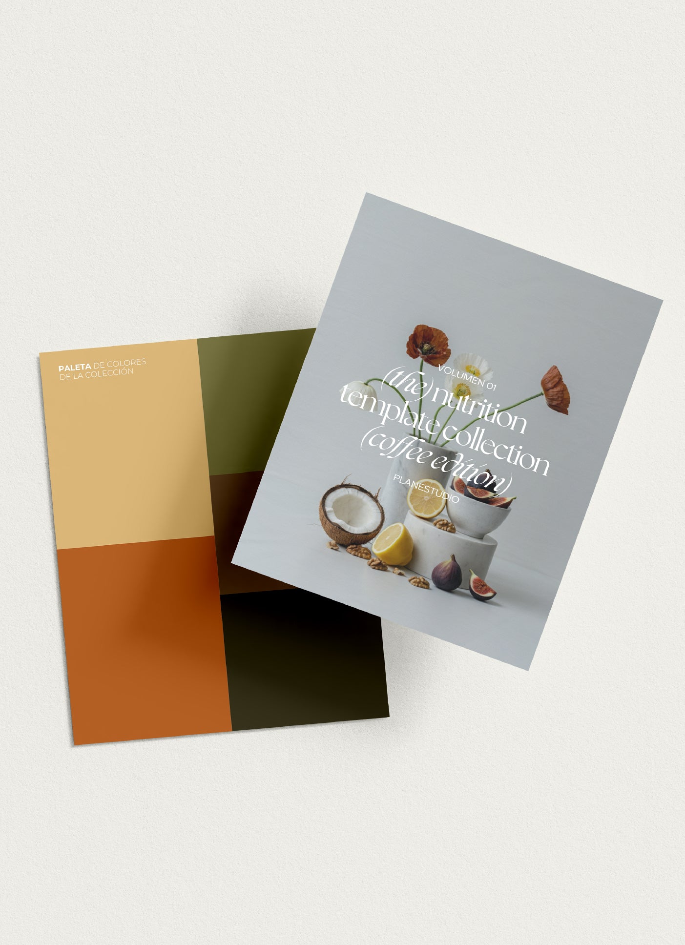 CAFE COCONUT SOCIAL VOL. 01