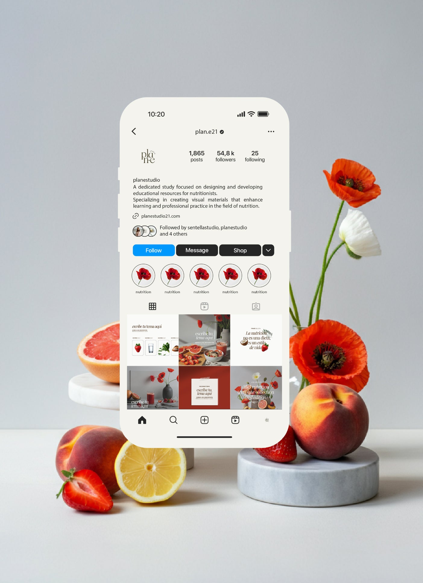 RED BERRY SOCIAL VOL. 01