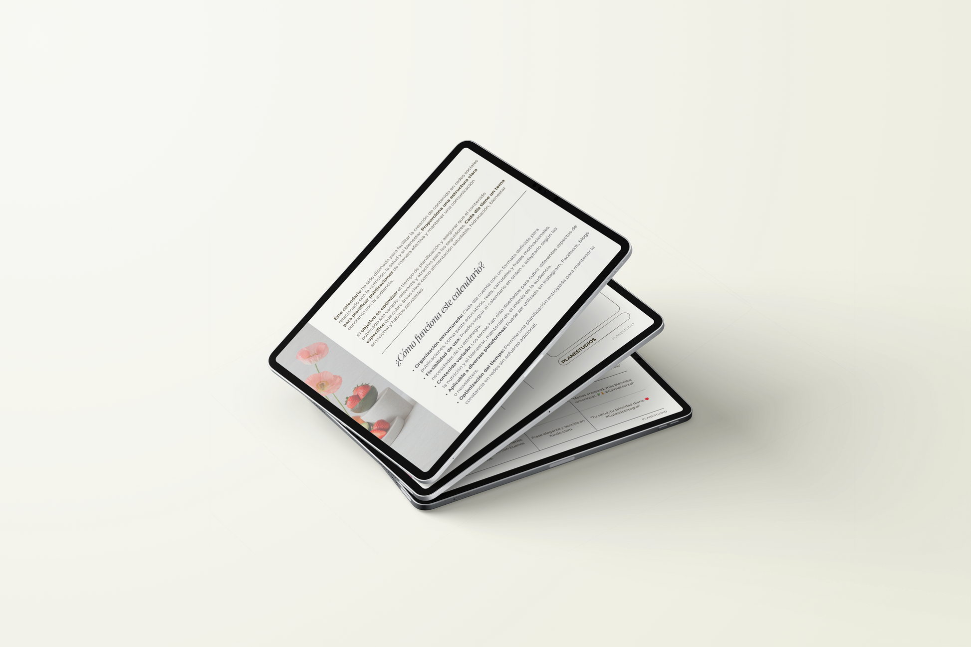 CALENDARIO DE CONTENIDO VOL. 01