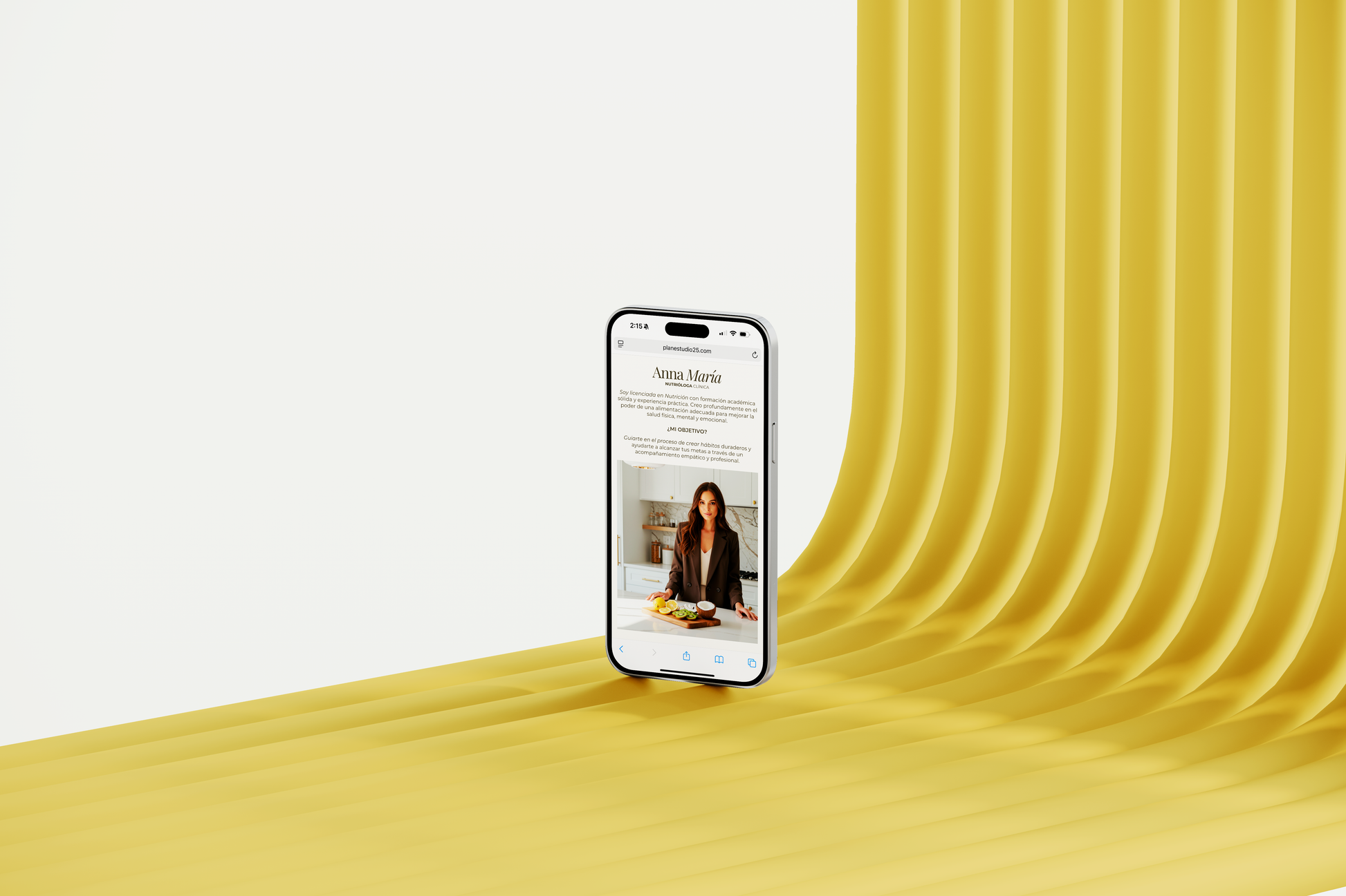 PLANTILLA WEB