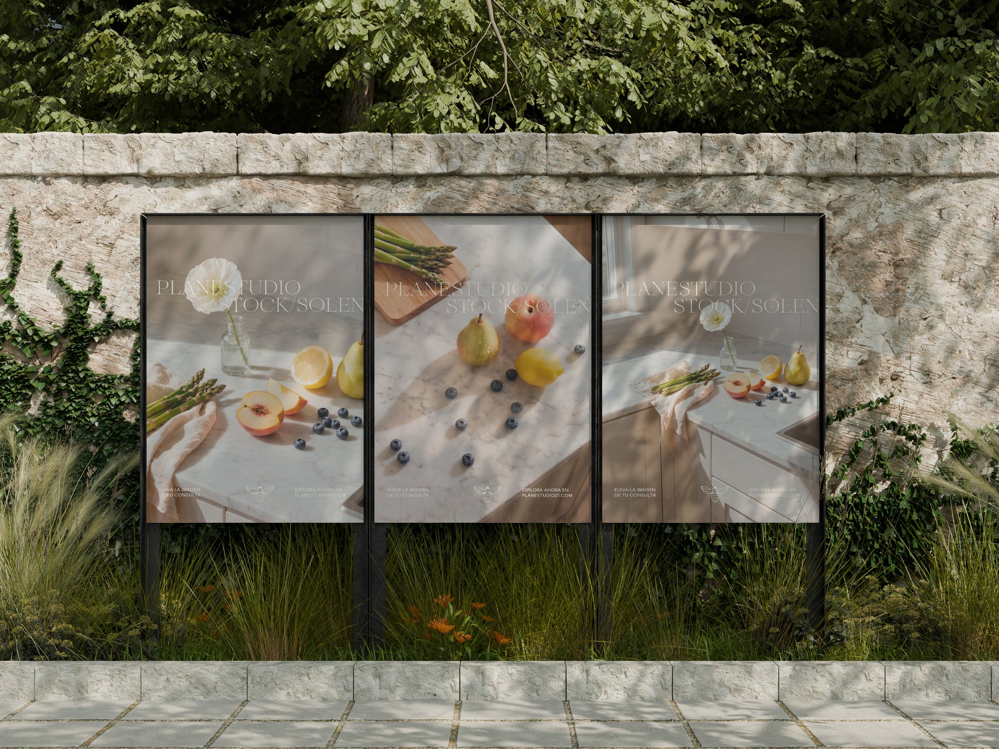 Solene - Stock Imagenes